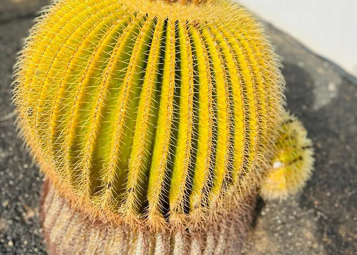 -montorian View Lanzarote- Διαμέρισμα *