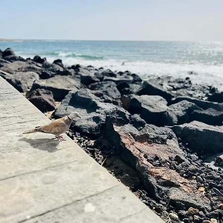-montorian View Lanzarote- Apartament *