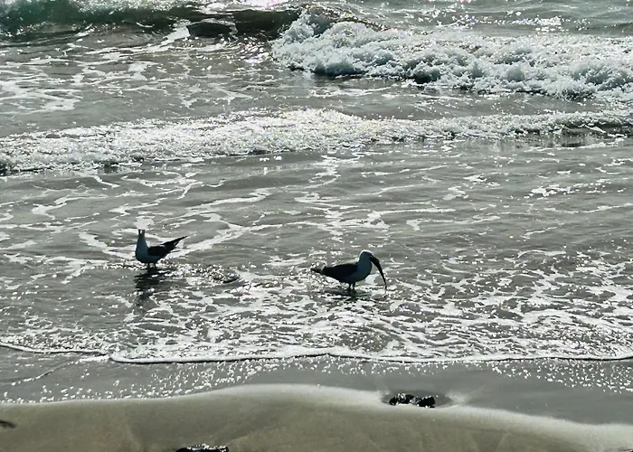 -montorian View Lanzarote- Пуэрто дель Кармен