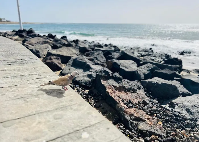 -montorian View Lanzarote- Апартаменты *